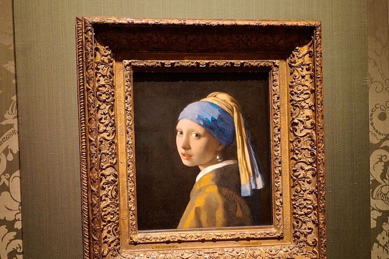 Tour guidato privato della città dell'Aia e ingresso al museo Mauritshuis