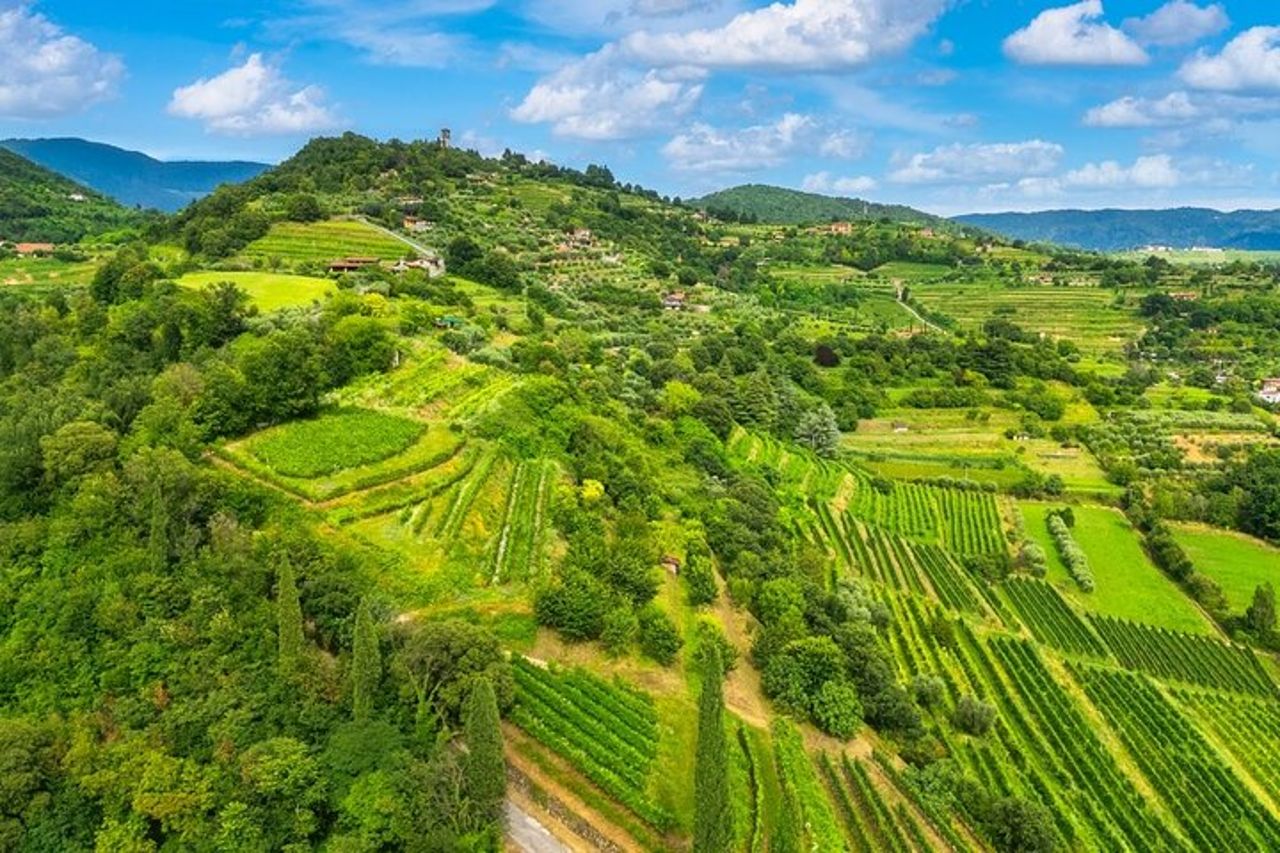 Tour di degustazione di vini Franciacorta da Milano con crociera sul Lago d'Iseo — 2