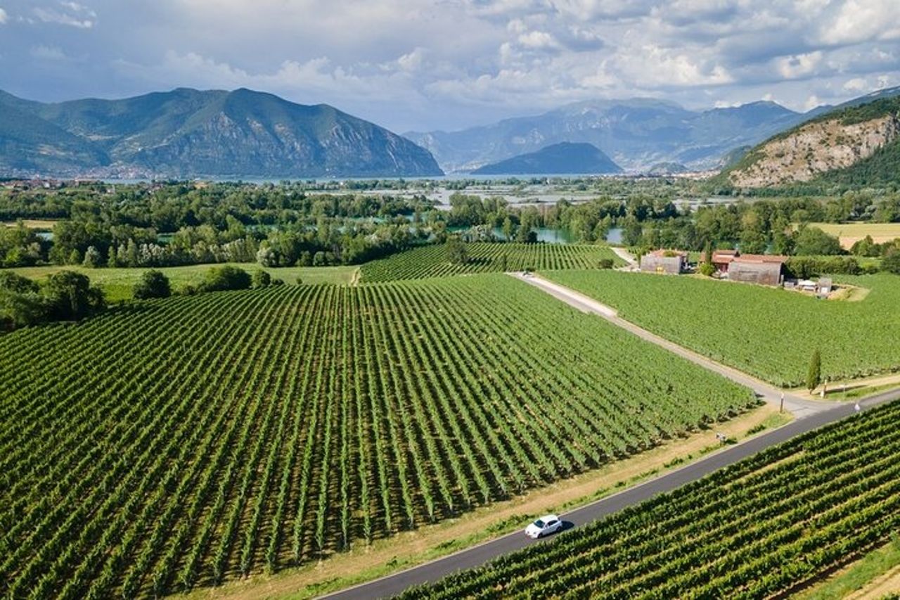 Tour di degustazione di vini Franciacorta da Milano con crociera sul Lago d'Iseo — 7