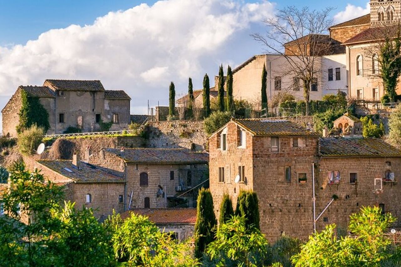 Tour privato del vino della città di Viterbo e dell'agriturismo da Civitavecchia — 2