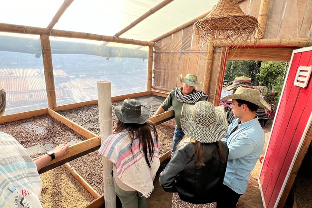 Tour condiviso della Coffee Farm dal Salento — 2