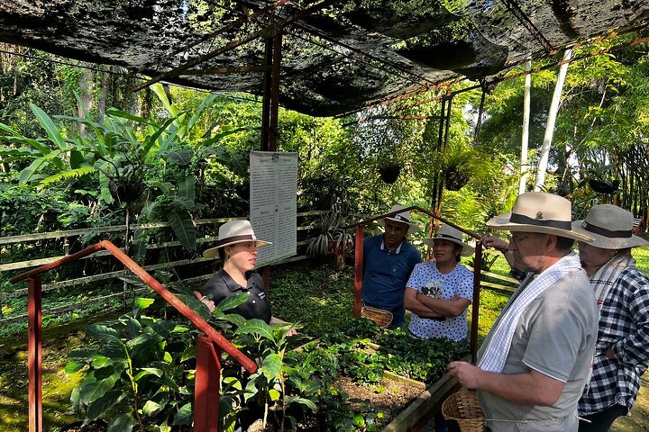 Tour condiviso della Coffee Farm dal Salento — 4
