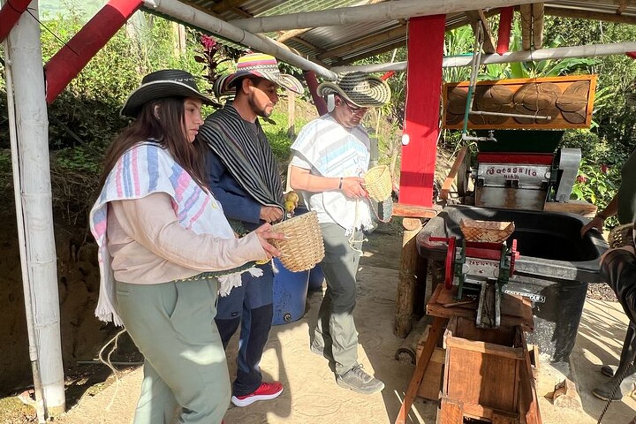 Tour condiviso della Coffee Farm dal Salento — 6