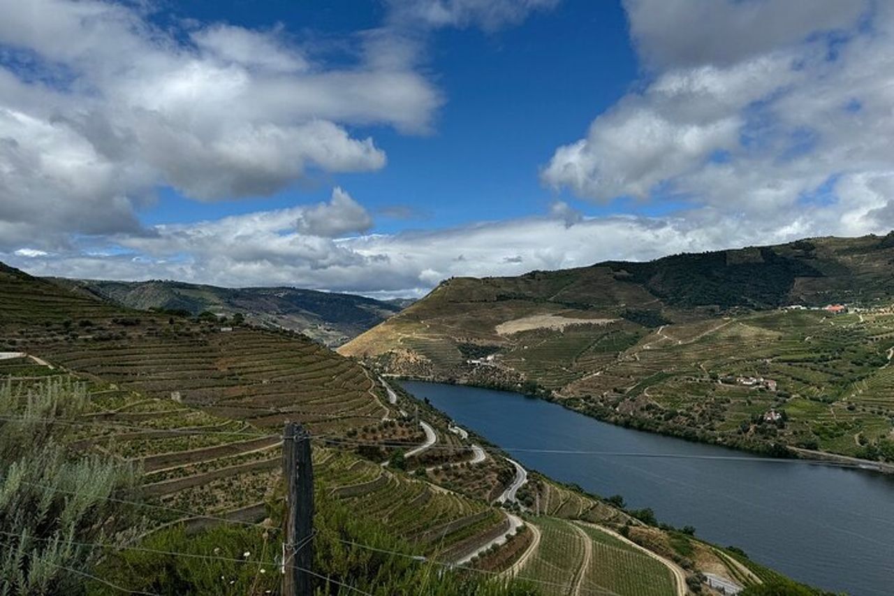 Tour di mezza giornata della Valle del Douro con cantina e pranzo da Porto — 3
