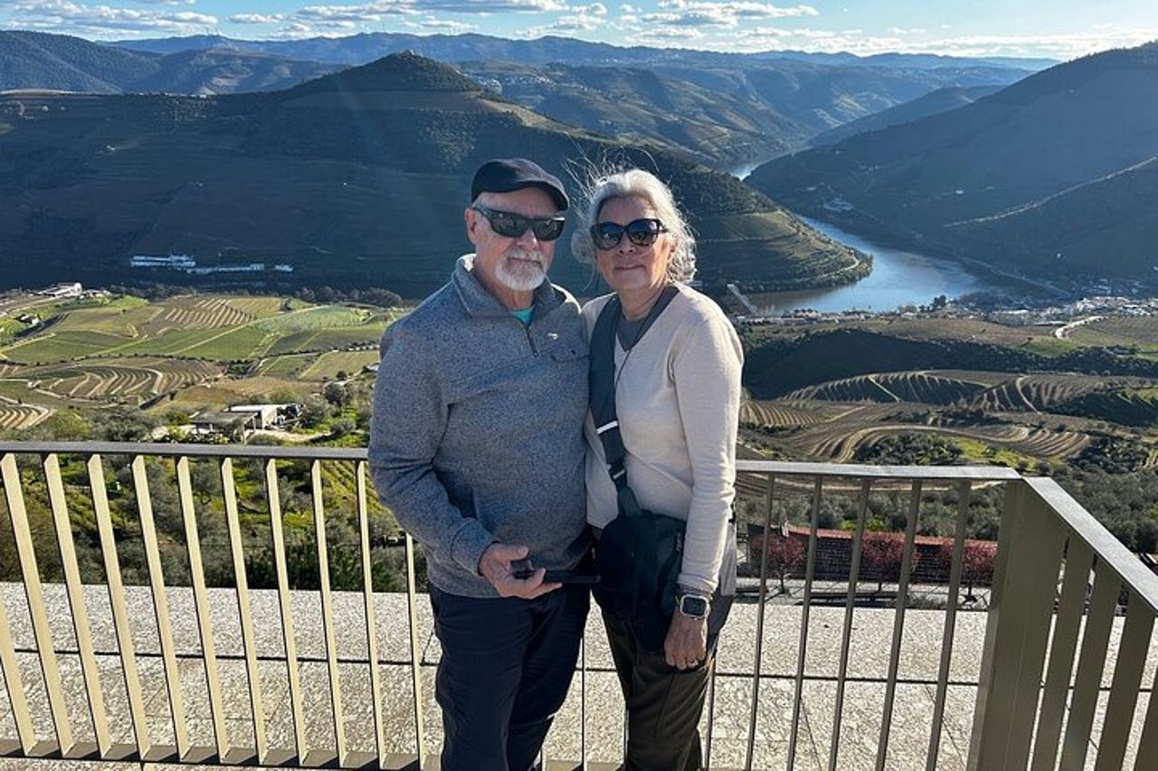 Tour di mezza giornata della Valle del Douro con cantina e pranzo da Porto — 4