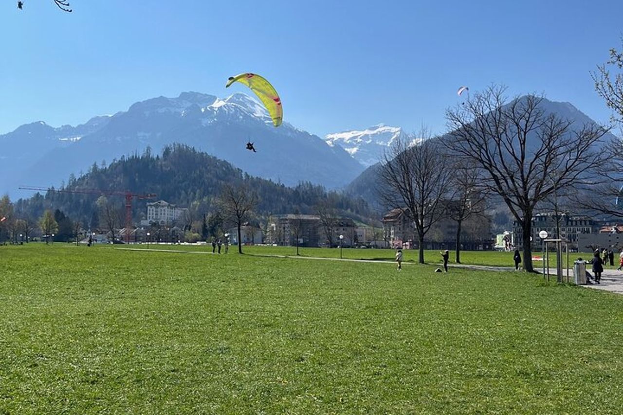 Basilea da o per Interlaken Transfer privato per 1 - 4 passeggeri — 3