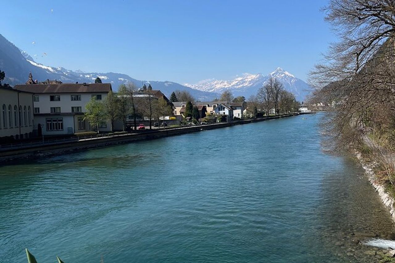 Basilea da o per Interlaken Transfer privato per 1 - 4 passeggeri — 8