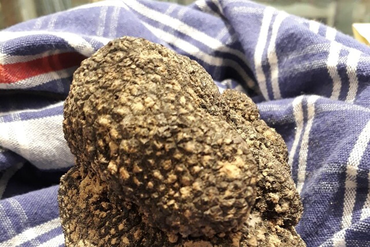 Tour a piedi di Alba: prodotti al tartufo e nocciole — 4