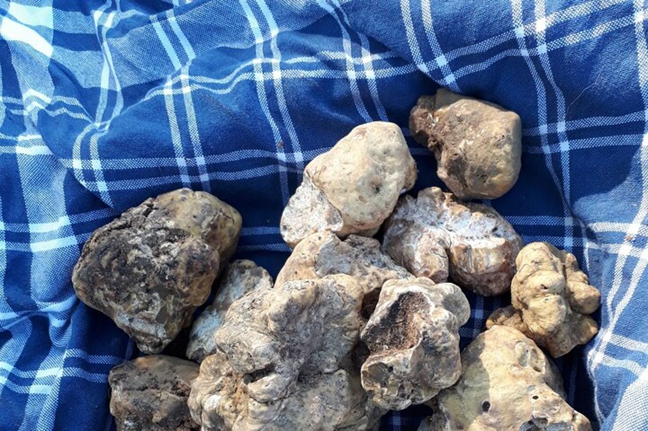 Tour a piedi di Alba: prodotti al tartufo e nocciole — 6