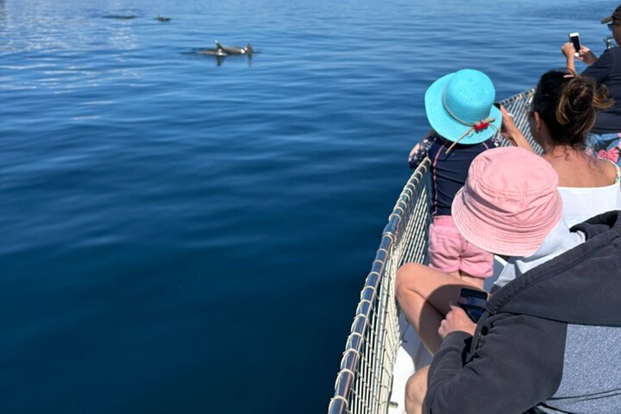 Escursione di 2 ore alla ricerca dei delfini/bevande e snack — 9