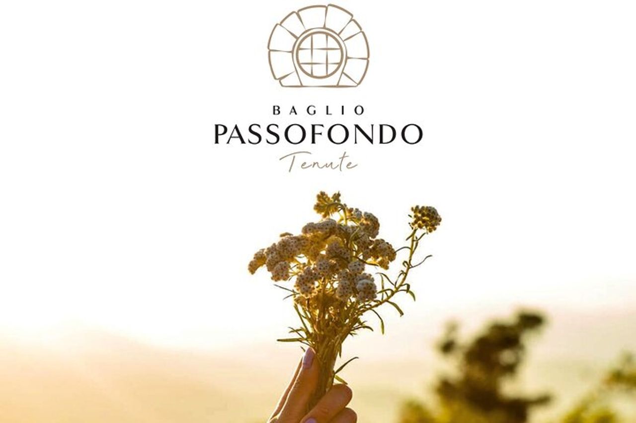 Cooking class: La pasticceria tradizionale siciliana — 2