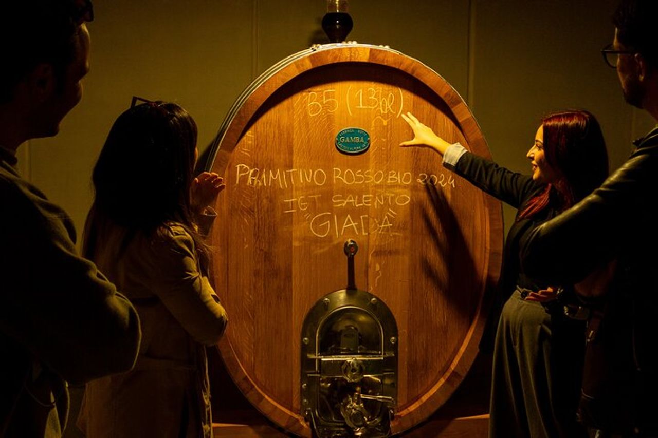 Tour e Degustazione in Cantina, Scopri i Vini Biologici di Ostuni