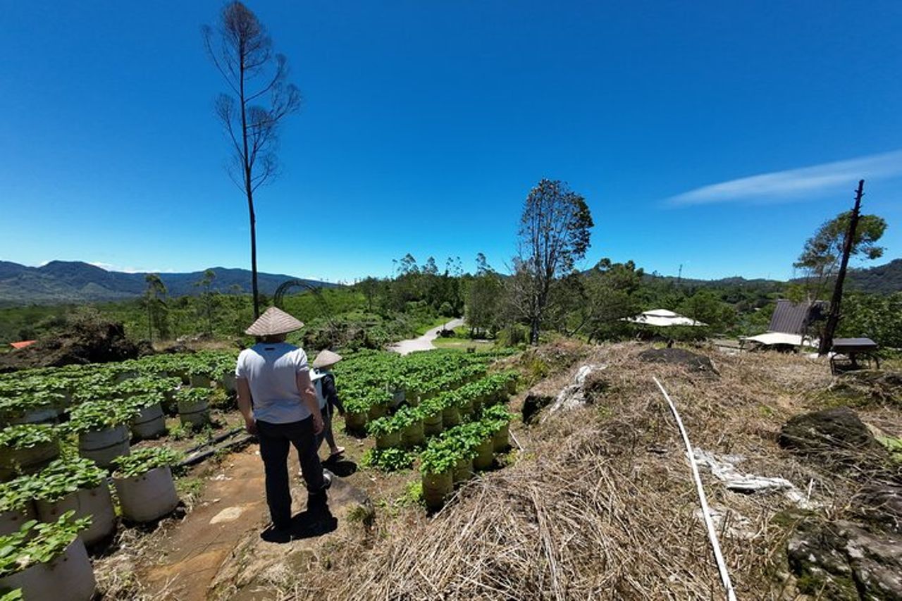 Tour privato del vulcano Bandung e delle sorgenti termali — 4