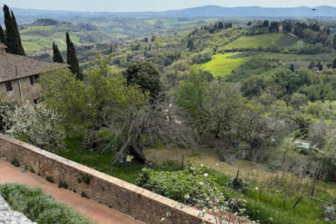 Tour privato - Chianti in minivan al tramonto — 2