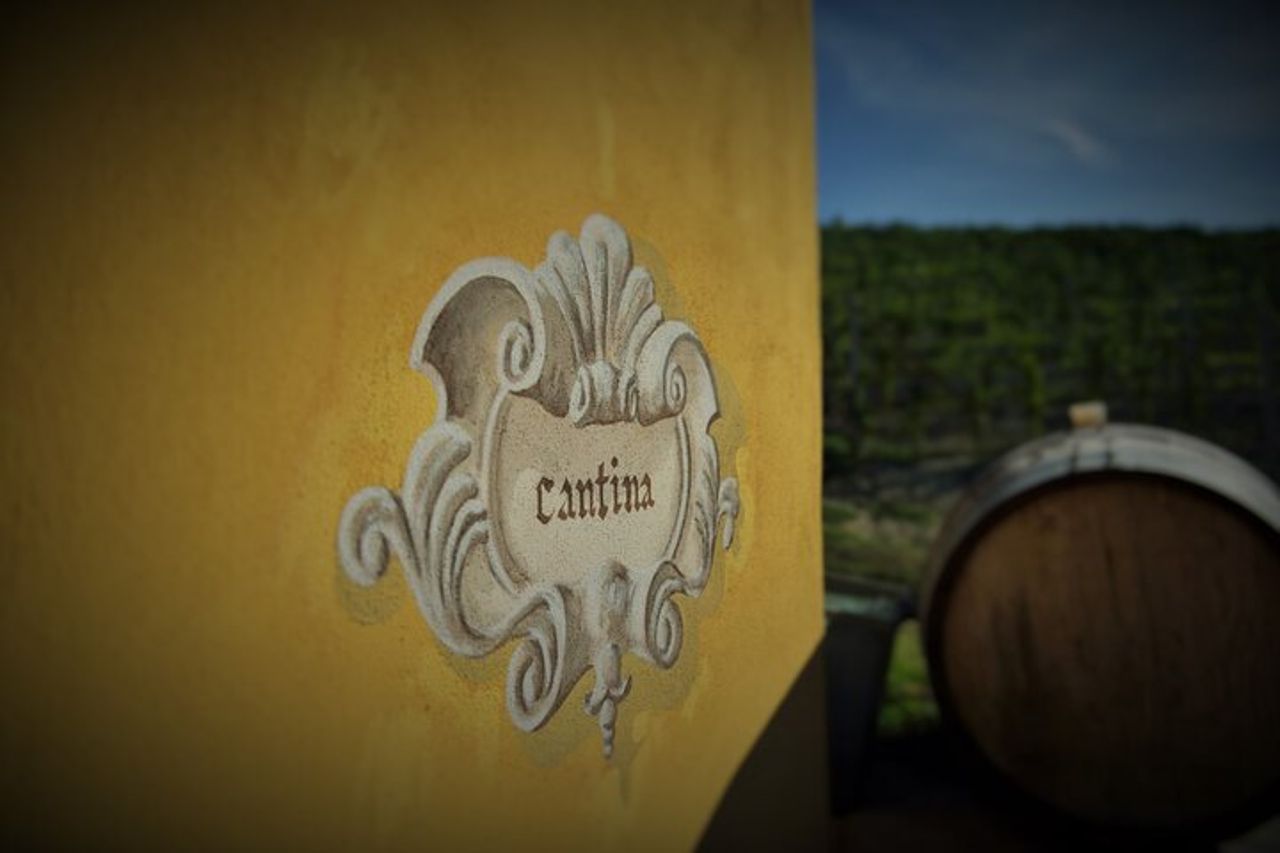 Esperienza di Vino e Cioccolato a Monforte d'Alba — 5