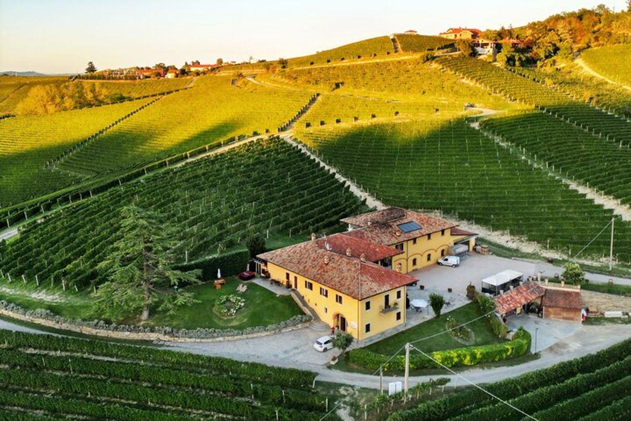Esperienza di Vino e Cioccolato a Monforte d'Alba — 3