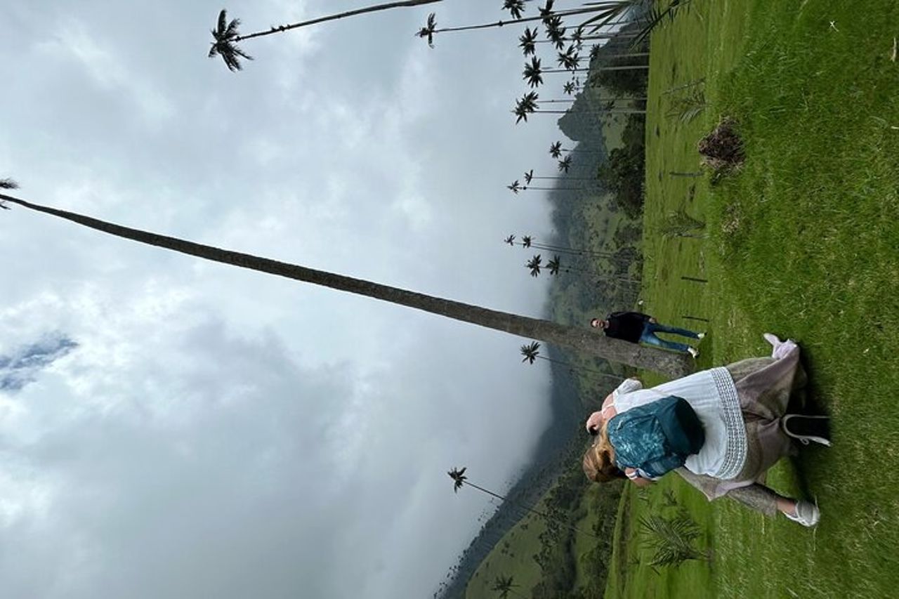 Tour privato nel Salento, Valle del Cocora e Filandia — 9