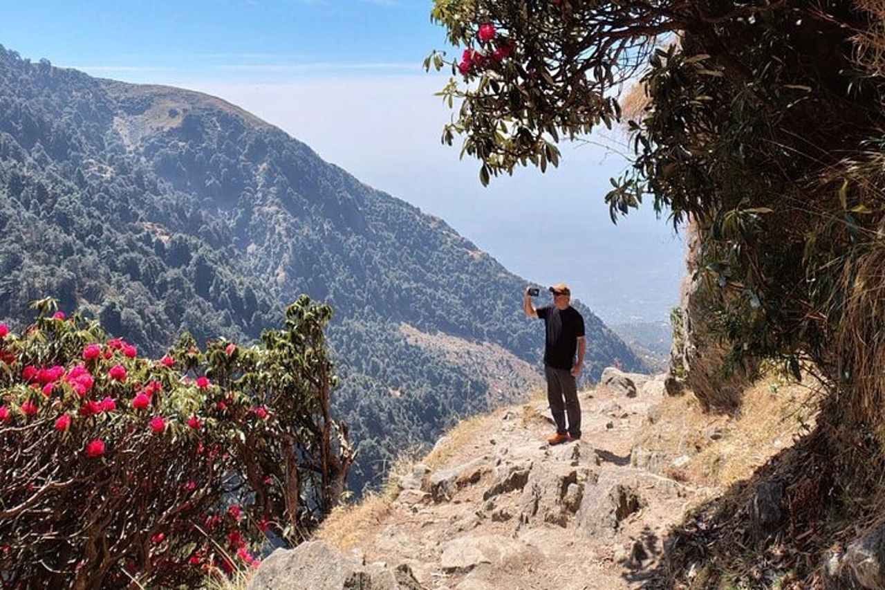 Escursione al Tempio di Birni Mata da Palampur – Day Trek — 7