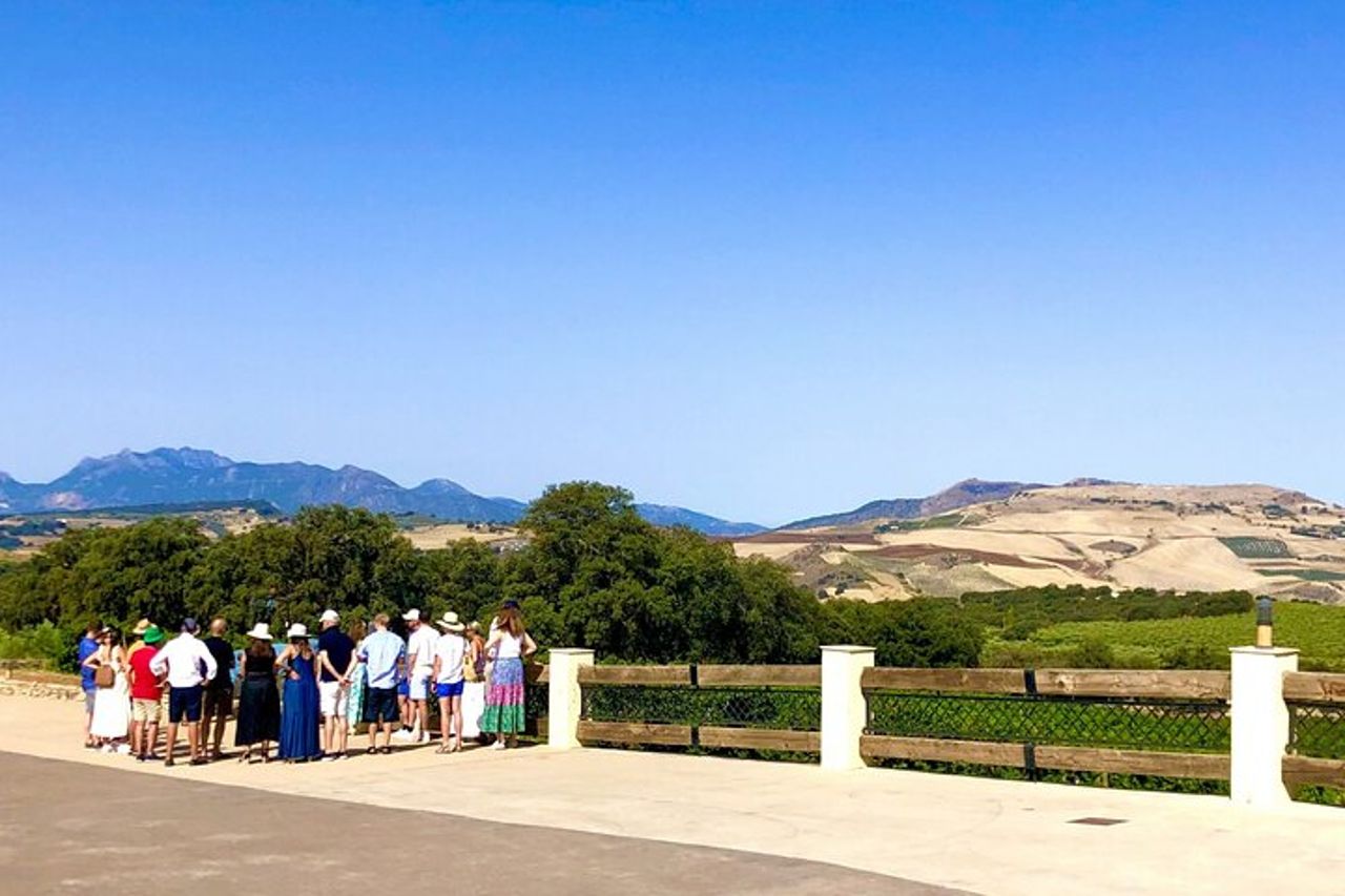 Degustazione di vino Ronda con tapas in un vigneto panoramico — 4