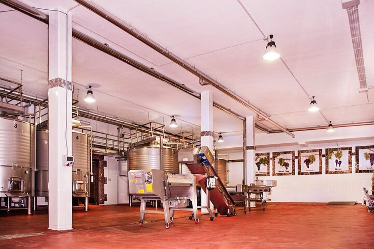 Degustazione di vino Ronda con tapas in un vigneto panoramico — 5