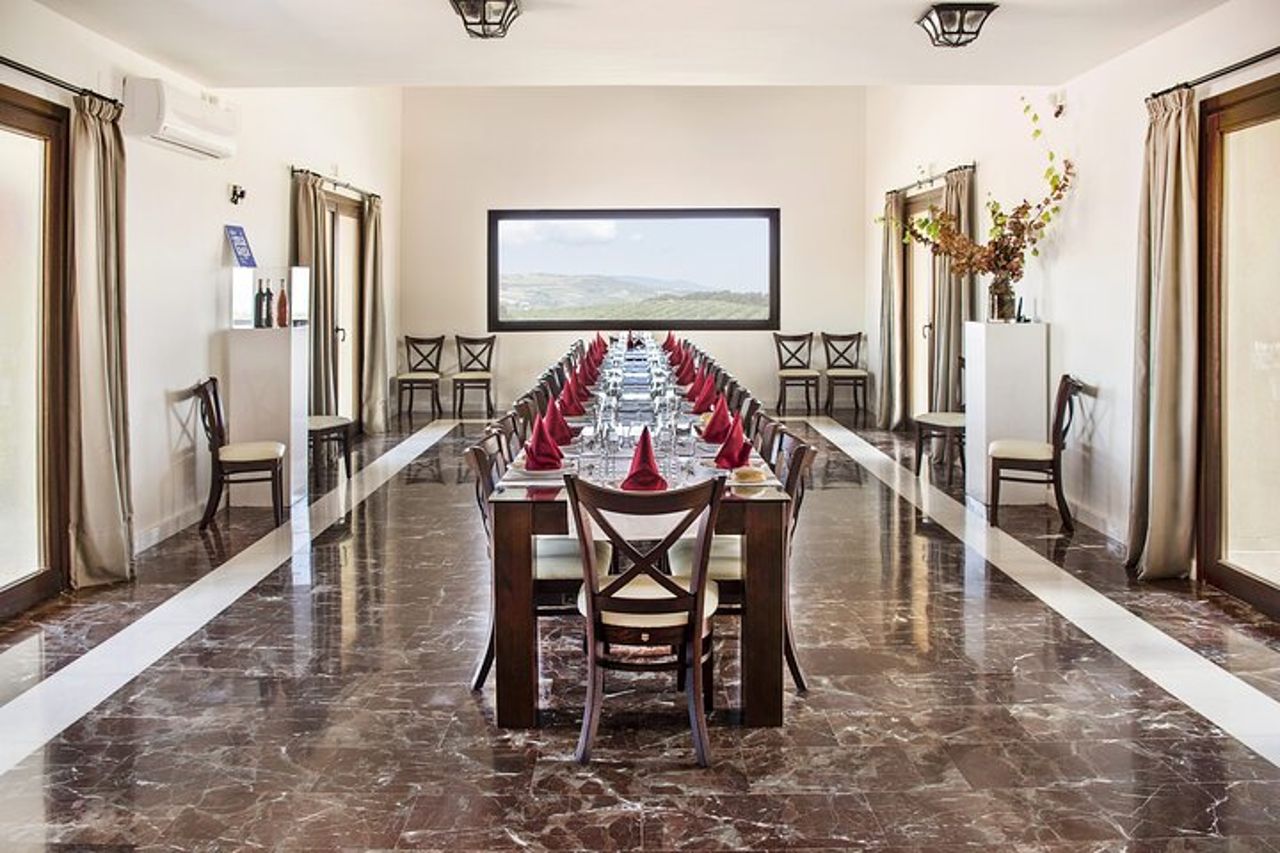 Degustazione di vino Ronda con tapas in un vigneto panoramico — 6