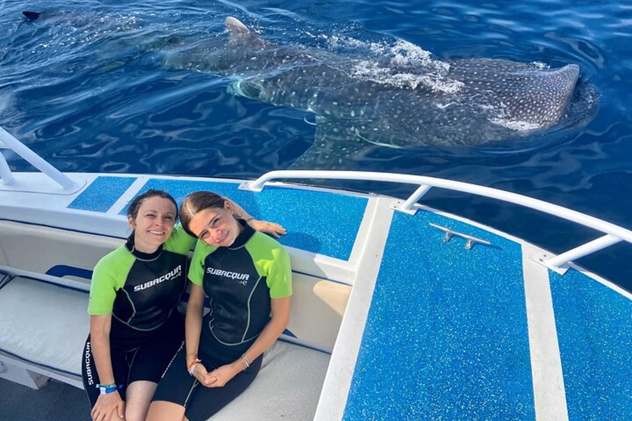Tour degli squali balena da Cancun, Playa del Carmen, Tulum e Riviera Maya — 6