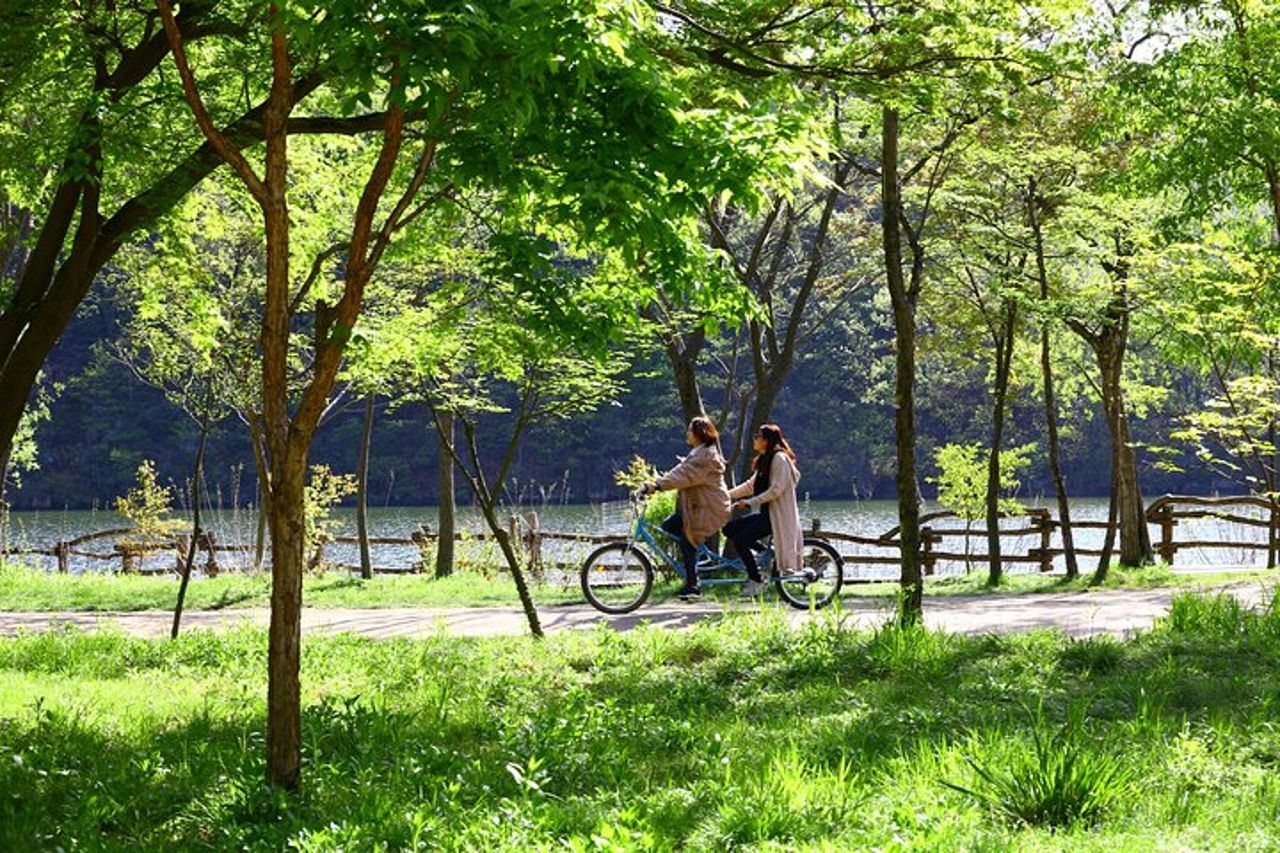 Gita di un giorno a Nami Island con Gangchon Rail Bike da Seul — 5