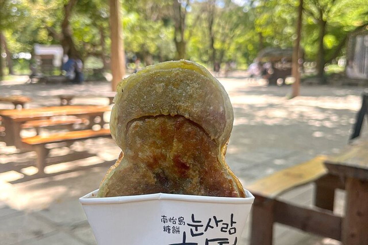 Gita di un giorno a Nami Island con Gangchon Rail Bike da Seul — 9