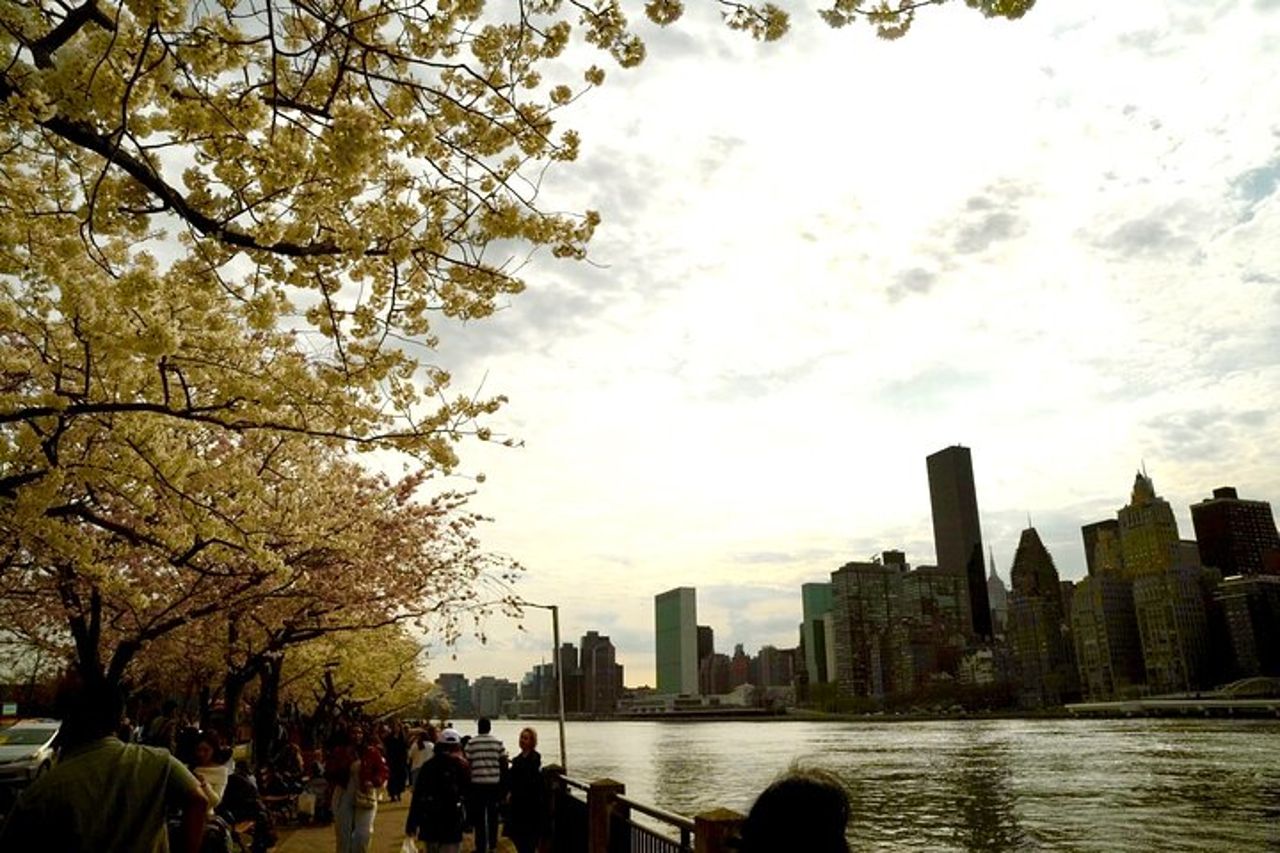 Tour di New York City con fotografo professionista — 3