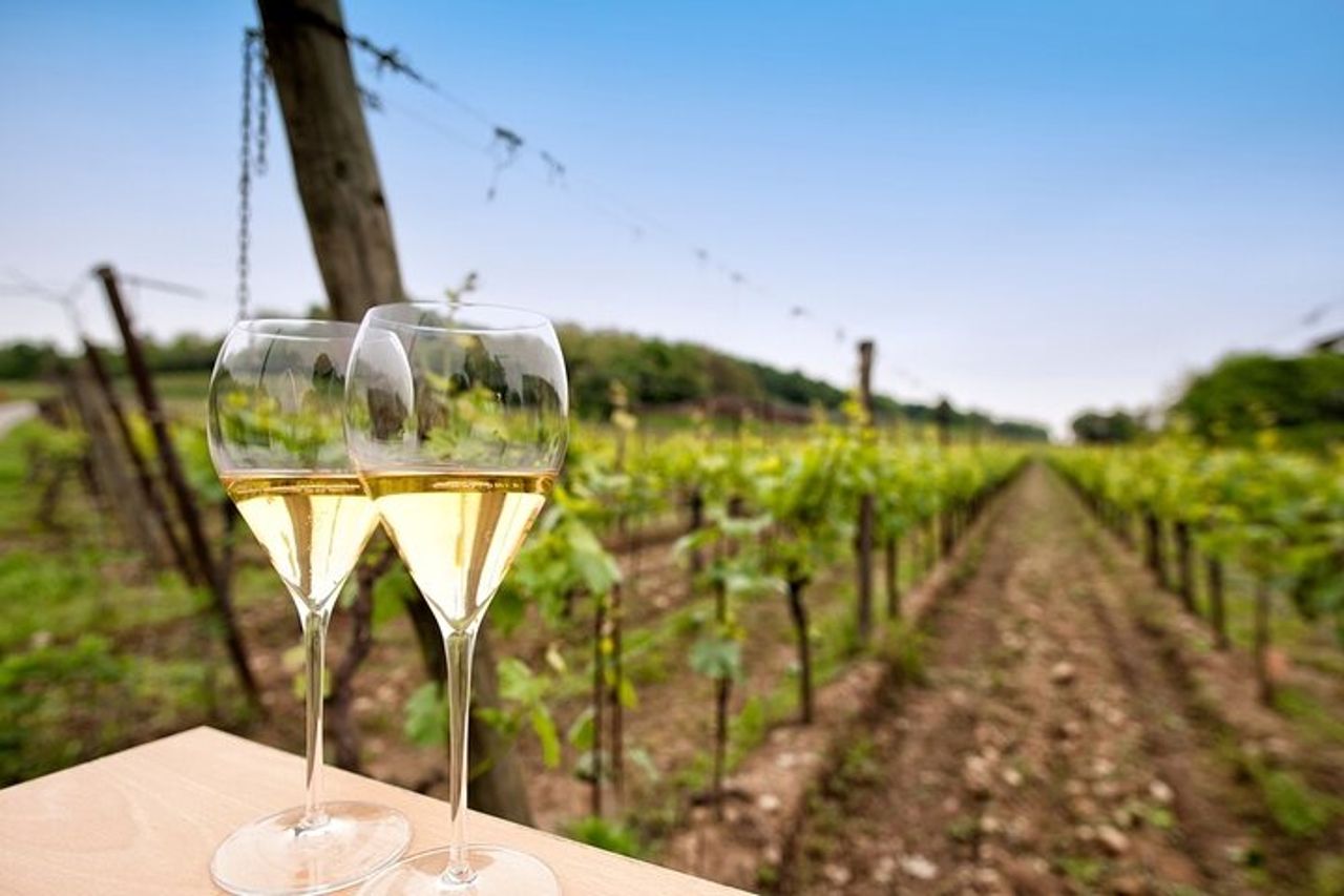 Tour di degustazione di vini Franciacorta da Milano con crociera sul Lago d'Iseo