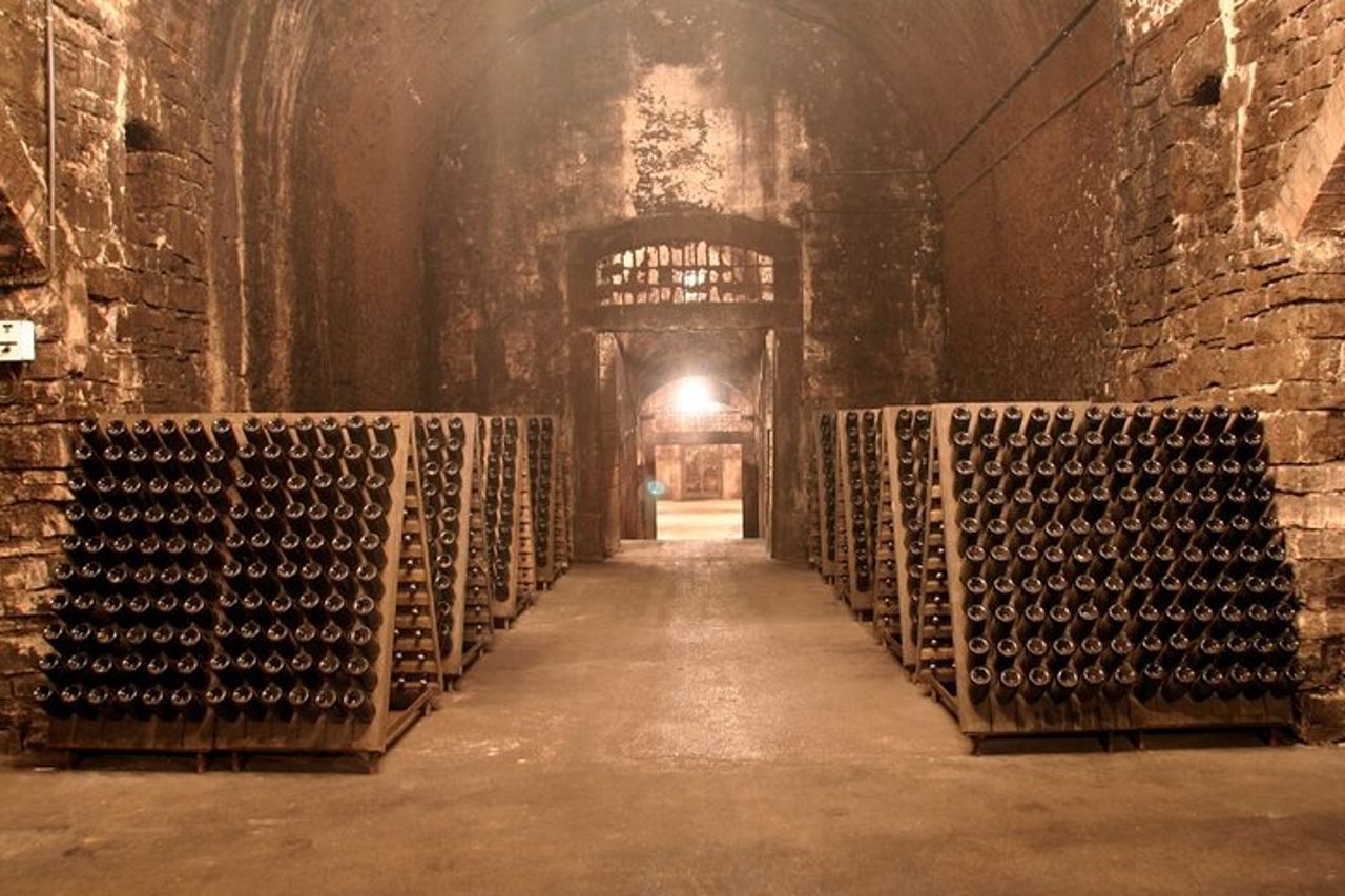 Tour di degustazione di vini Franciacorta da Milano con crociera sul Lago d'Iseo — 5