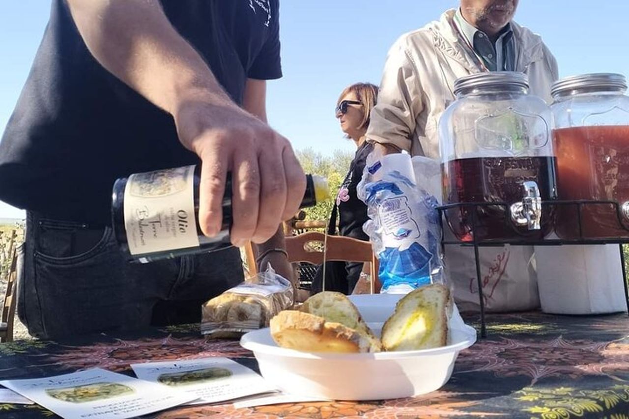 Tour in E-Bike e Degustazione di Olio d'Oliva nella Campagna Pugliese — 8