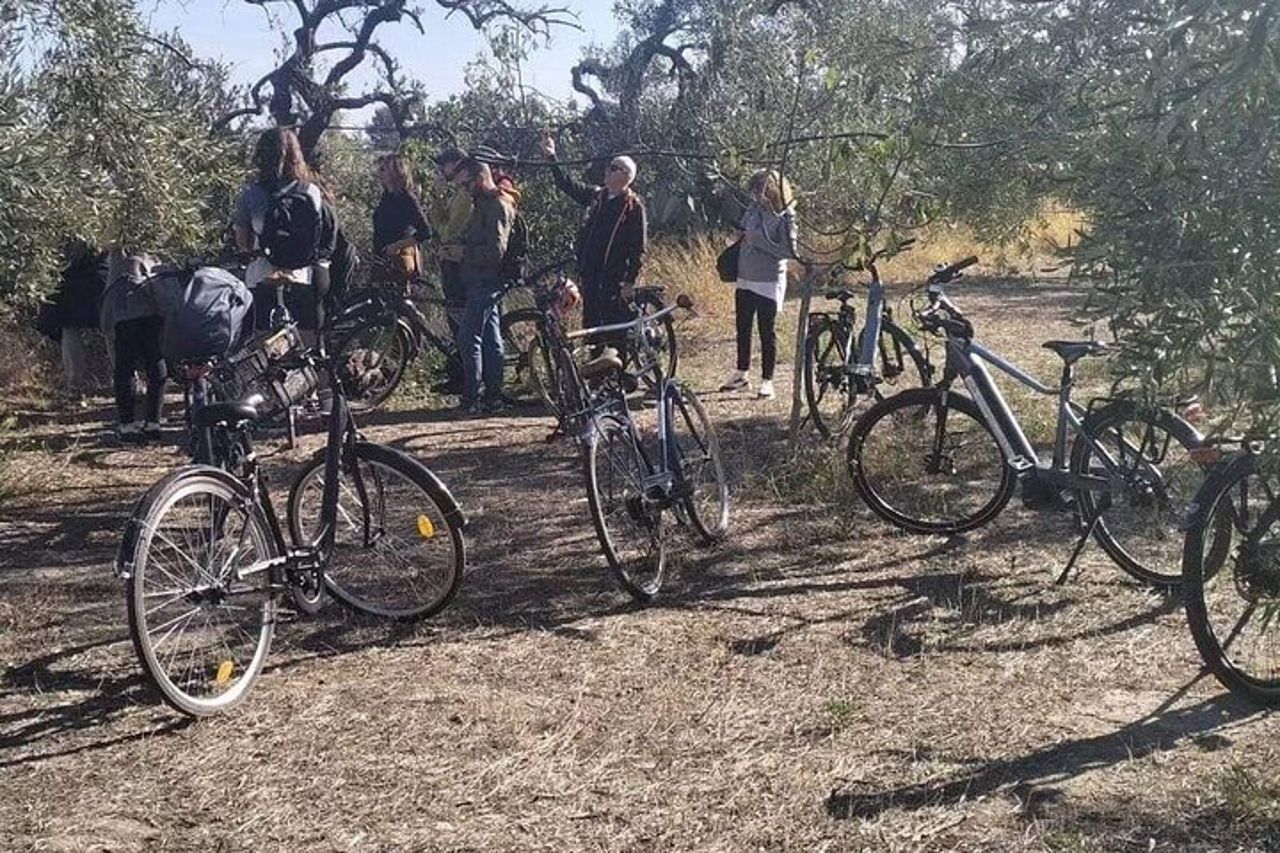 Tour in E-Bike e Degustazione di Olio d'Oliva nella Campagna Pugliese — 9