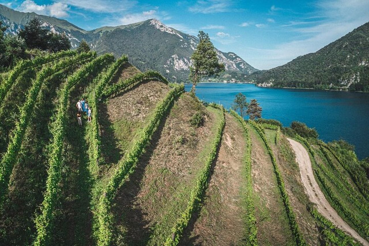 Vino Pic Nic con splendida vista lago a Ledro — 6
