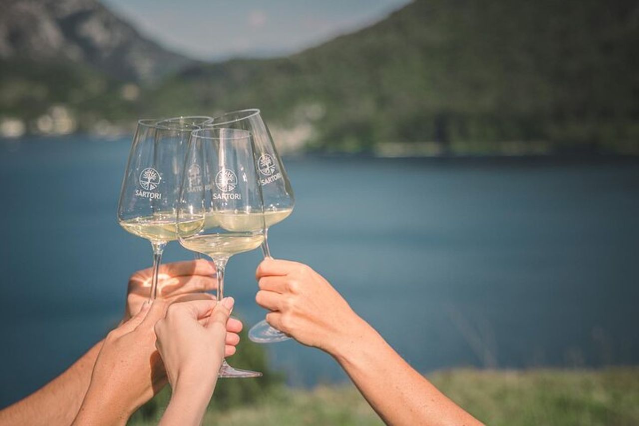 Vino Pic Nic con splendida vista lago a Ledro — 8