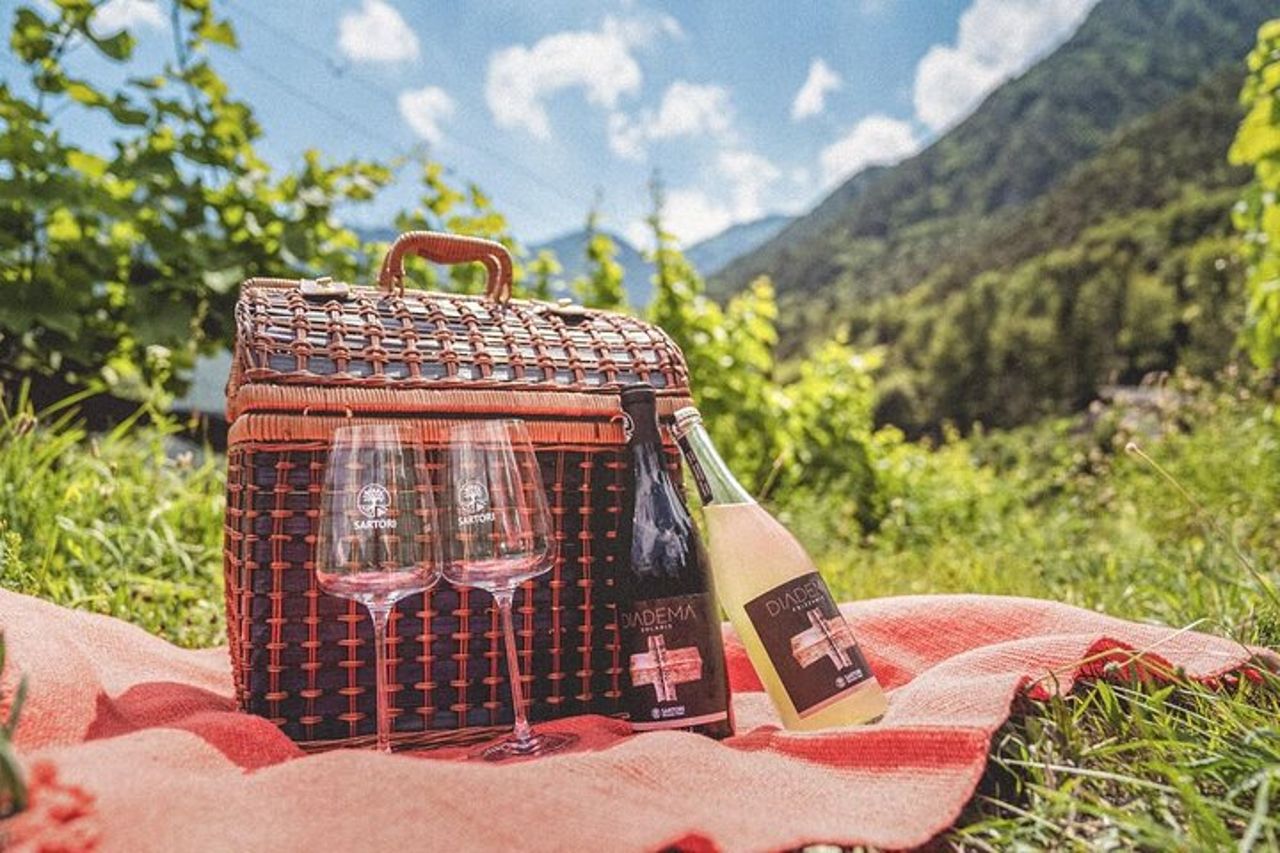 Vino Pic Nic con splendida vista lago a Ledro — 3