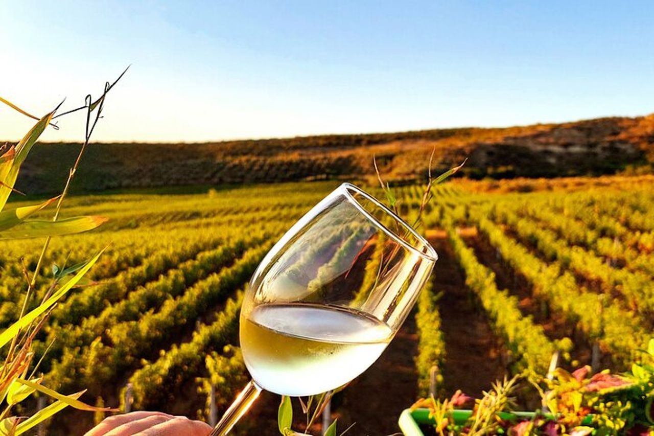Esperienza di vigneto in campagna a Durazzo con abbinamento vino & cibo — 2