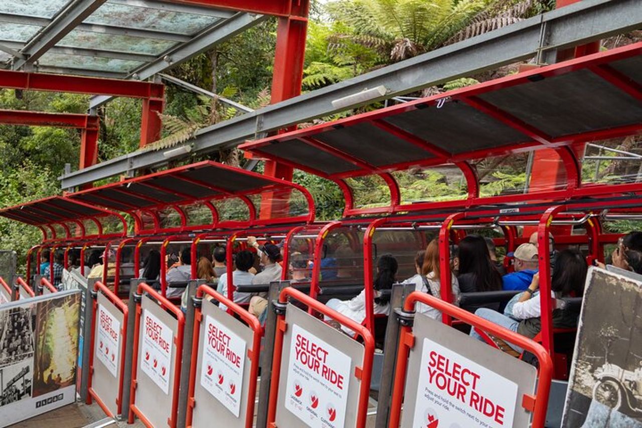 Blue Mountains, Zoo di Sydney, Mondo panoramico da Sydney — 2