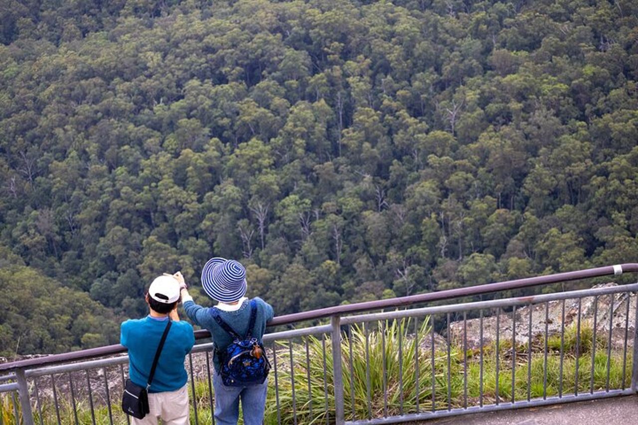 Blue Mountains, Zoo di Sydney, Mondo panoramico da Sydney — 8