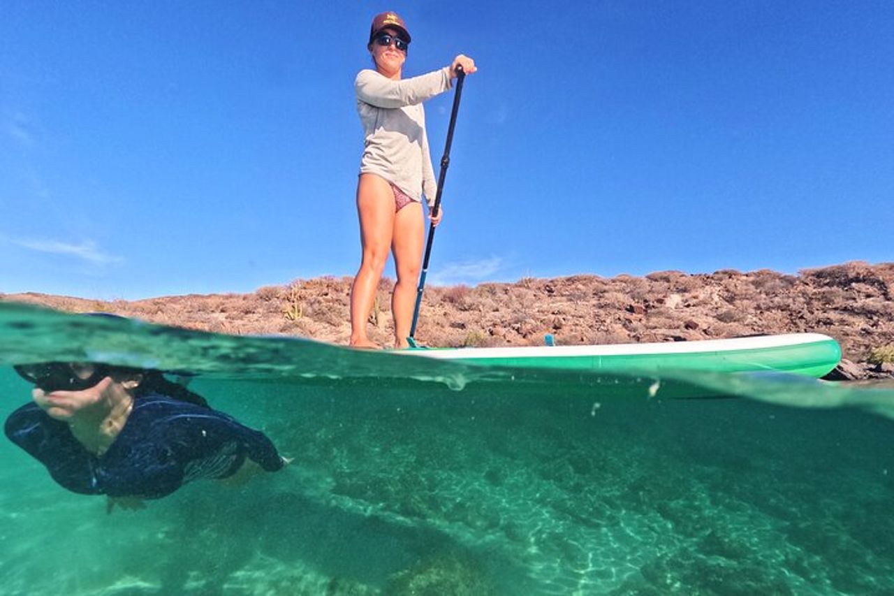 Visita all'isola di Coronado e nuoto con i leoni marini