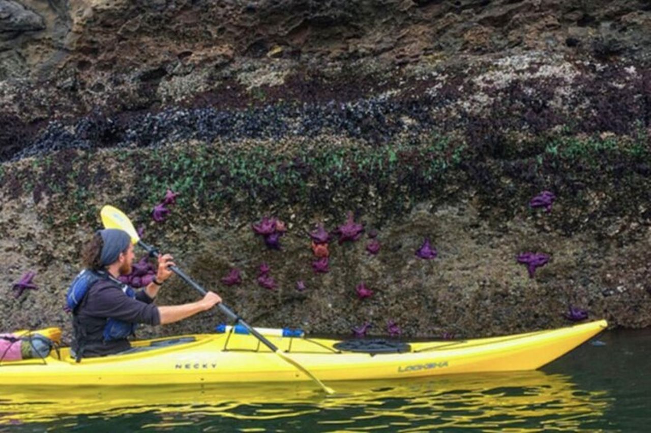 Tour in kayak costiero di Rosario sull'isola delle Orche — 2