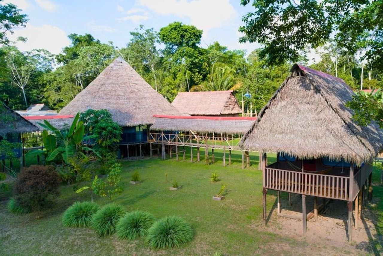 Avventura nella foresta pluviale primaria di 5 giorni a Curassow Amazon Lodge — 2