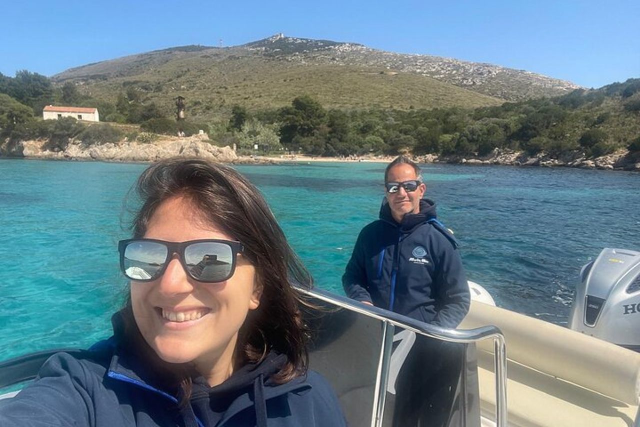 Avvistamento delfini nel Golfo di Olbia — 6