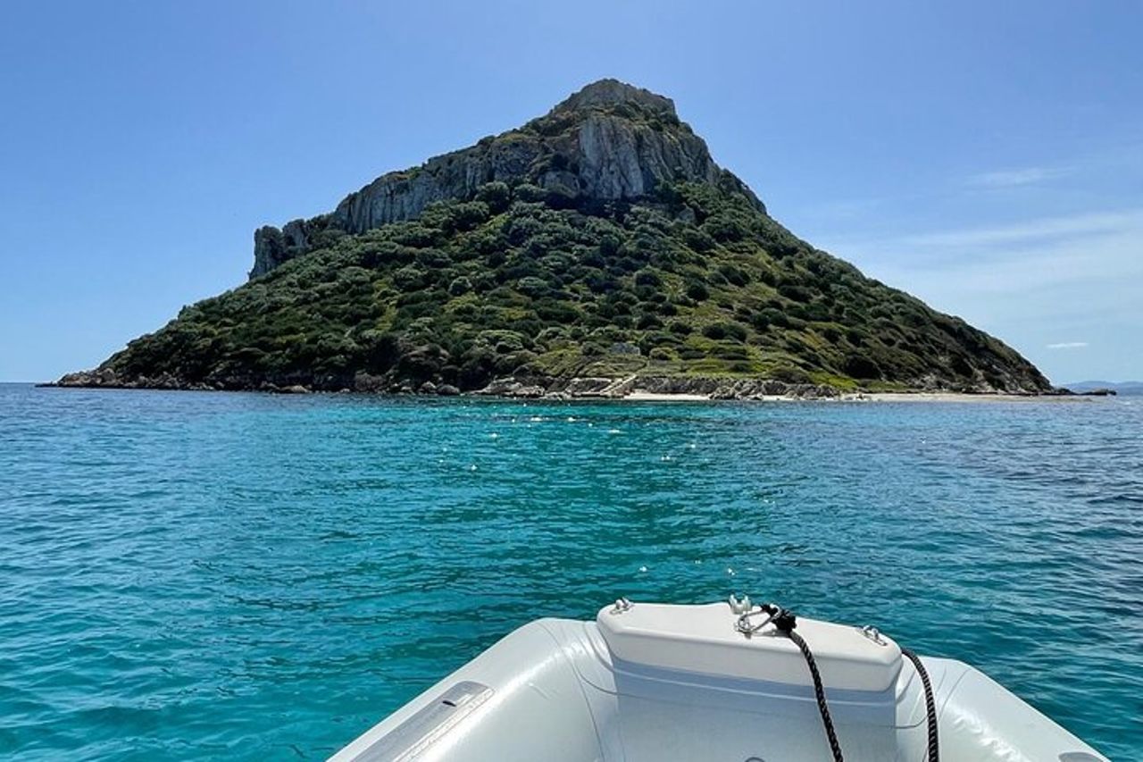 Avvistamento delfini nel Golfo di Olbia — 7