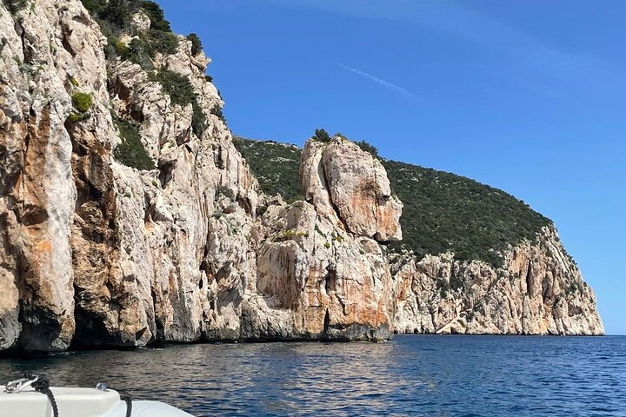 Avvistamento delfini nel Golfo di Olbia — 8