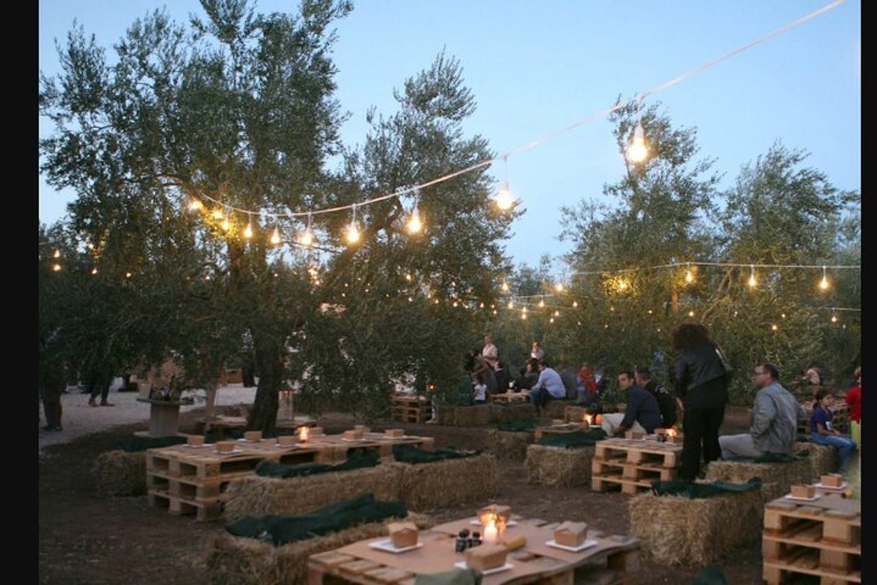 Degustazione di Olio Pugliese e Aperitivo Experience a Trani — 2