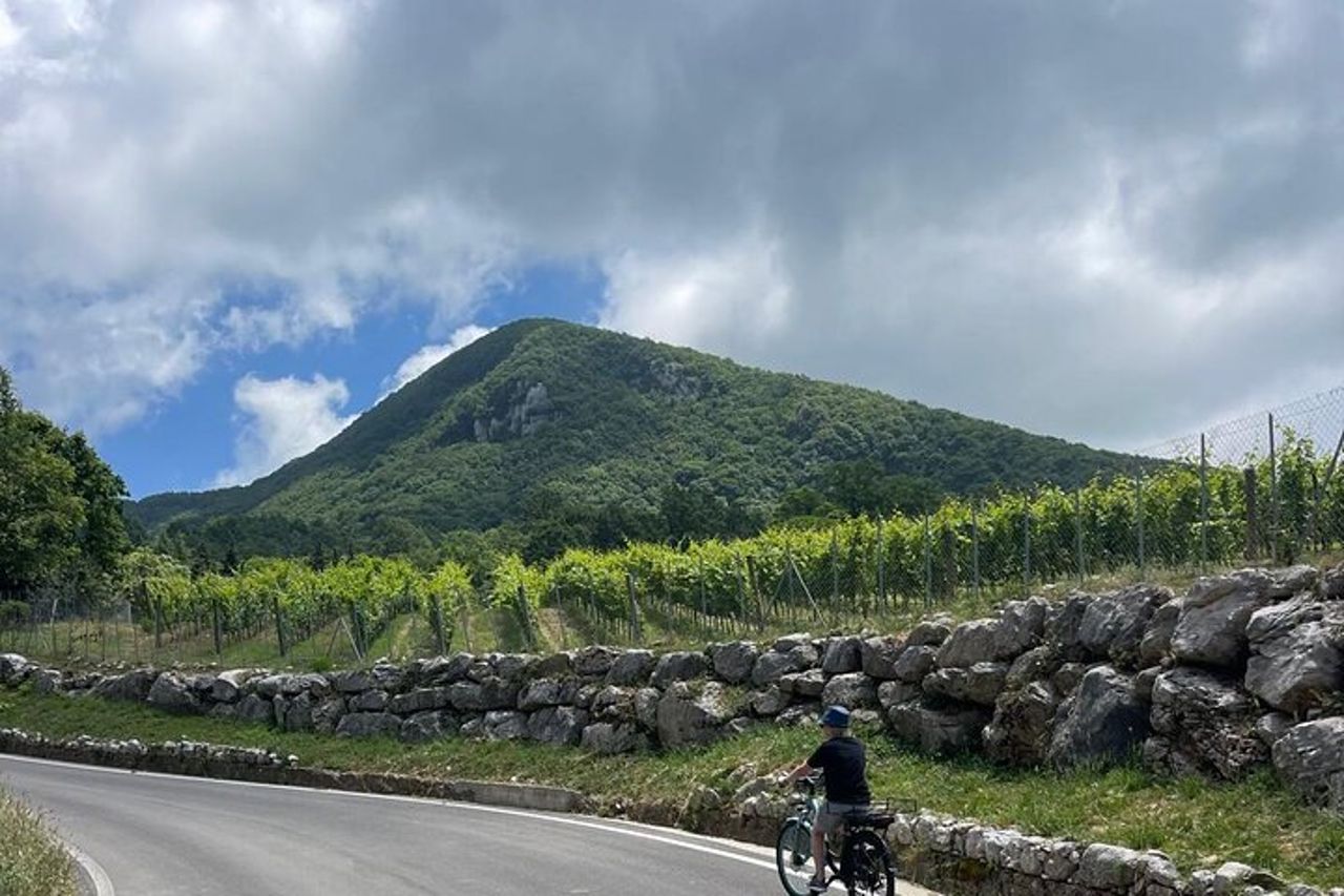 Tour in E-bike nel Cilento con Picnic e Vino — 6
