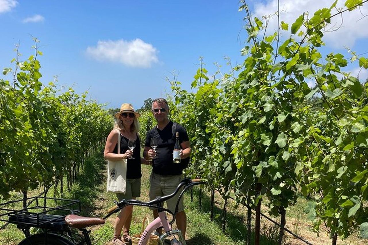 Tour in E-bike nel Cilento con Picnic e Vino — 7