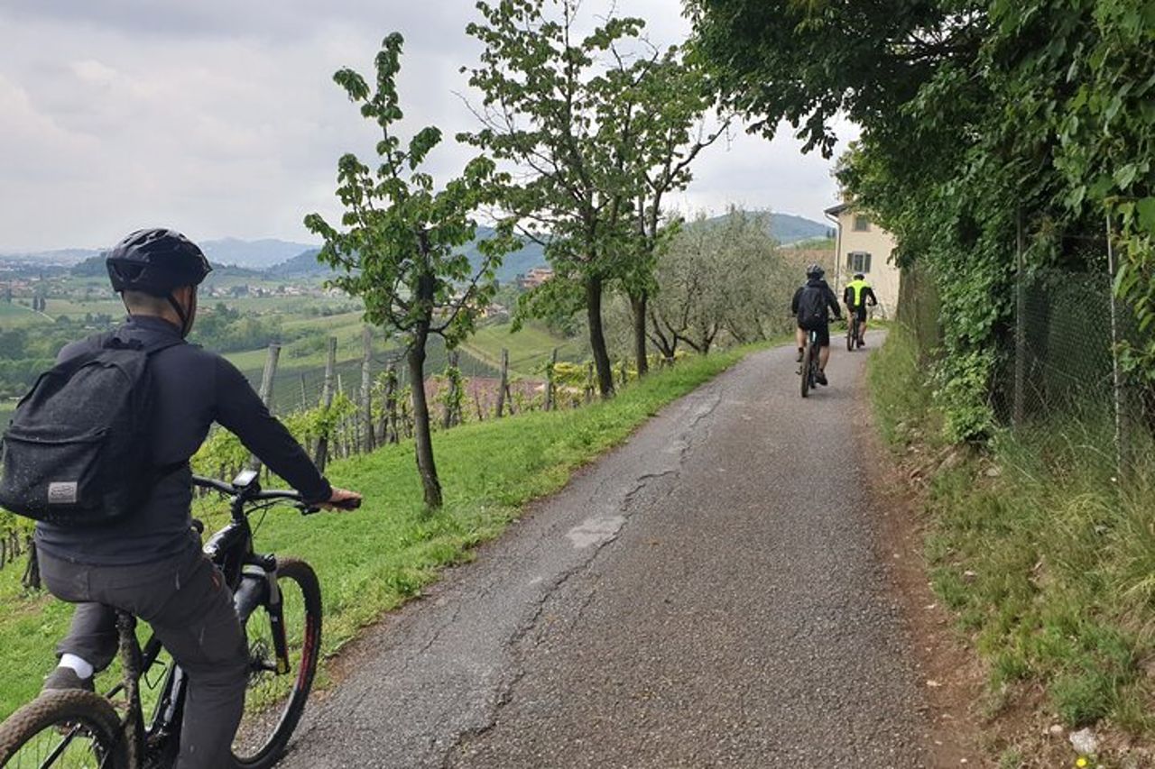 Tour Moscato di Scanzo in e-bike — 6