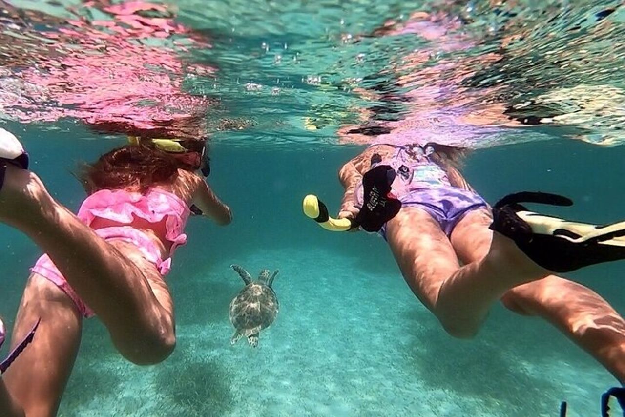 Vela e snorkeling a Norman Island e grotte — 6